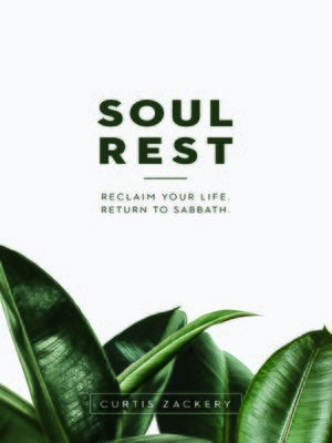 cover image of Soul Rest